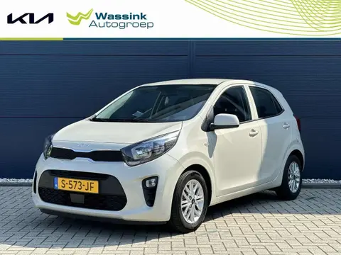 Used KIA PICANTO Petrol 2023 Ad 