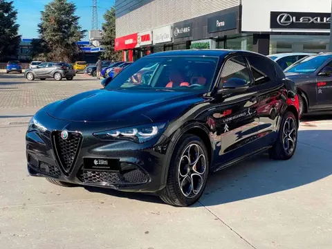 Used ALFA ROMEO STELVIO Diesel 2024 Ad 