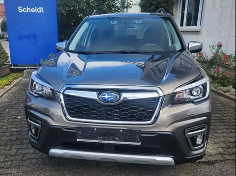 Used SUBARU FORESTER Petrol 2020 Ad 