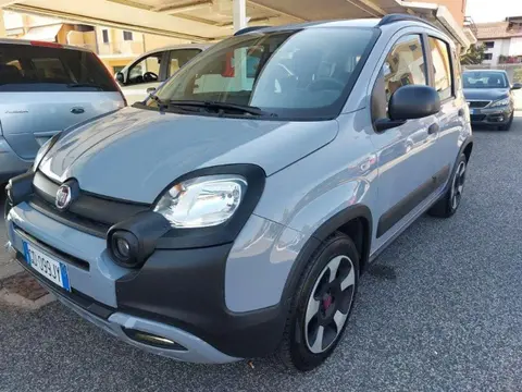 Used FIAT PANDA Hybrid 2020 Ad 