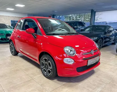 Used FIAT 500 Petrol 2023 Ad 