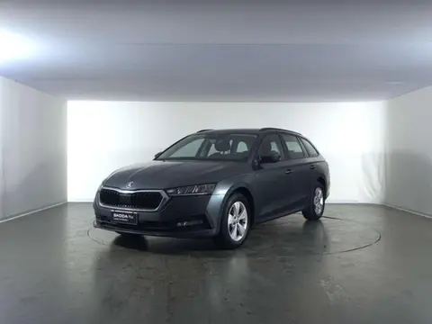 Used SKODA OCTAVIA Diesel 2020 Ad 