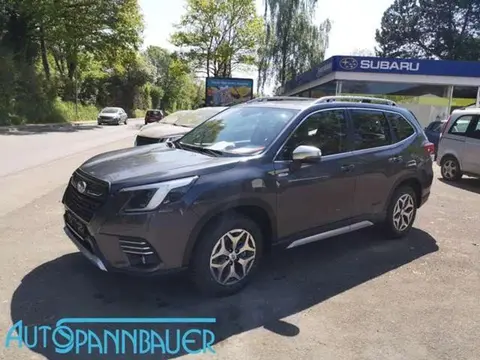 Annonce SUBARU FORESTER Essence 2024 d'occasion 