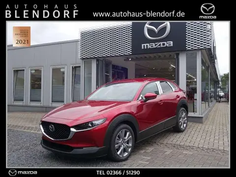 Used MAZDA CX-30 Petrol 2024 Ad 