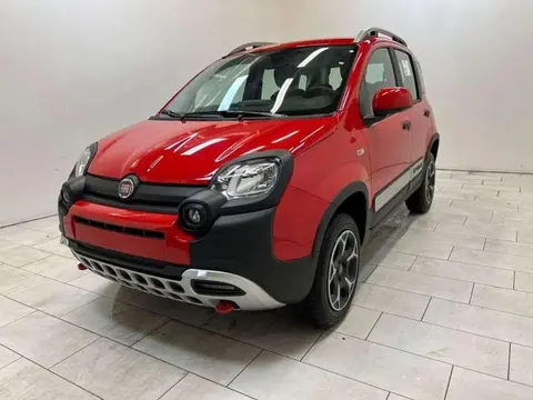 Used FIAT PANDA Petrol 2023 Ad 