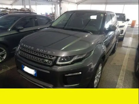 Used LAND ROVER RANGE ROVER Diesel 2019 Ad 