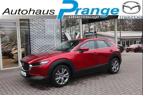 Annonce MAZDA CX-30 Essence 2023 d'occasion 