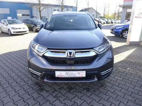 Used HONDA CR-V Petrol 2023 Ad 