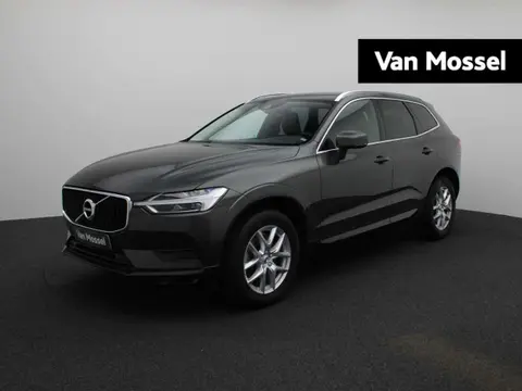 Used VOLVO XC60 Diesel 2019 Ad 