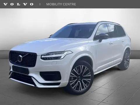 Used VOLVO XC90 Hybrid 2024 Ad 