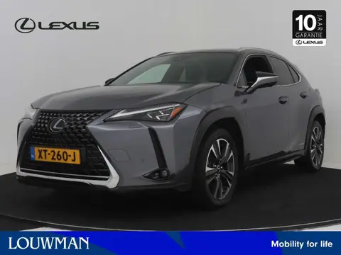 Used LEXUS UX Hybrid 2019 Ad 