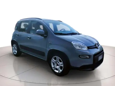 Used FIAT PANDA Hybrid 2022 Ad 