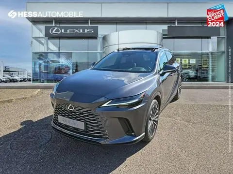 Annonce LEXUS RX  2024 d'occasion 