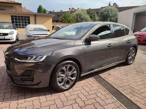 Used FORD FOCUS Hybrid 2023 Ad 