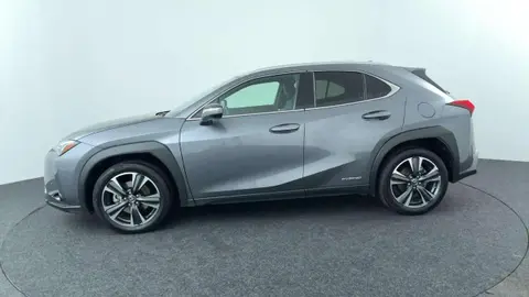 Used LEXUS UX Hybrid 2021 Ad 