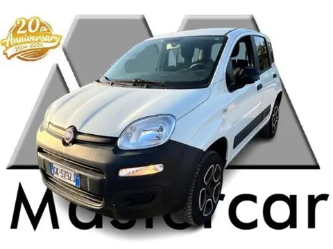 Used FIAT PANDA Petrol 2022 Ad 