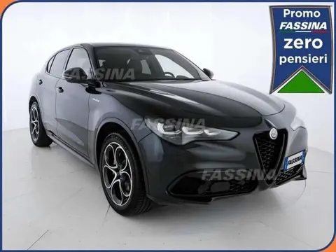 Used ALFA ROMEO STELVIO Petrol 2024 Ad 