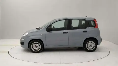 Annonce FIAT PANDA Hybride 2021 d'occasion 