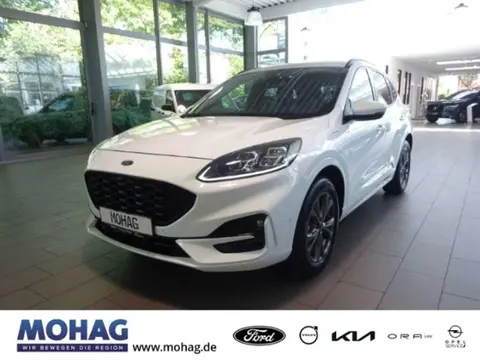 Annonce FORD KUGA Hybride 2021 d'occasion 