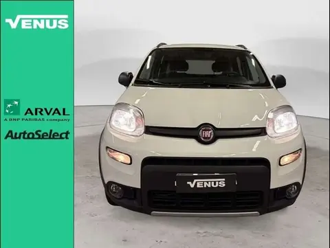 Annonce FIAT PANDA Essence 2019 d'occasion 