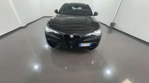 Annonce ALFA ROMEO STELVIO Diesel 2023 d'occasion 