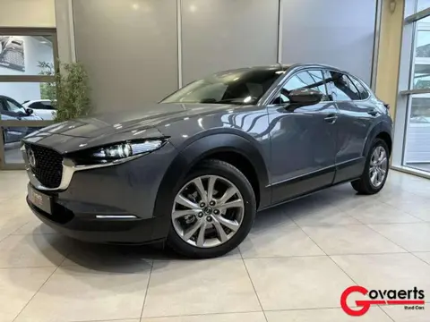 Annonce MAZDA CX-30 Essence 2021 d'occasion 