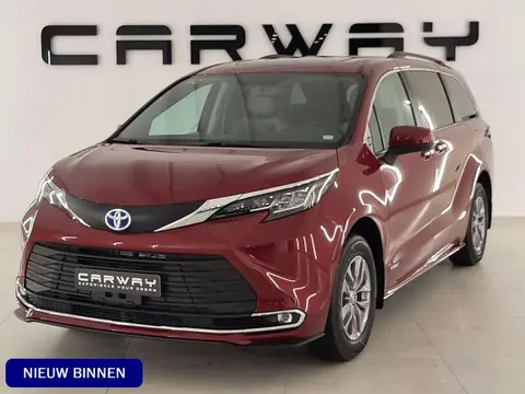 Used TOYOTA SIENNA Hybrid 2024 Ad 