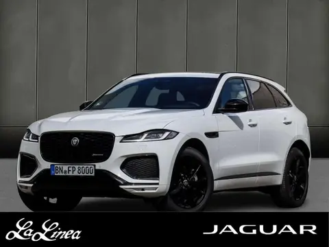 Used JAGUAR F-PACE Diesel 2024 Ad 