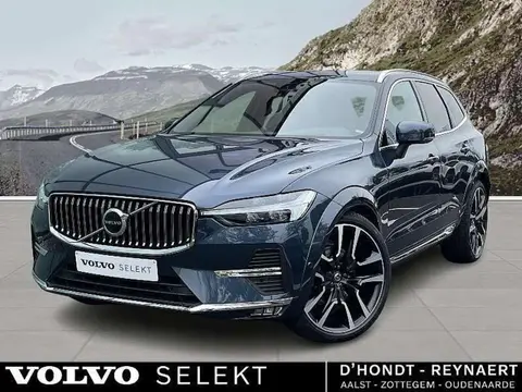 Annonce VOLVO XC60 Hybride 2023 d'occasion 