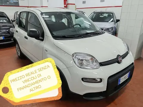 Used FIAT PANDA Hybrid 2024 Ad 