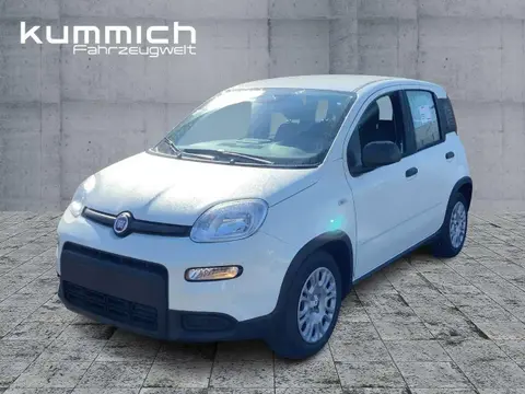 Used FIAT PANDA Hybrid 2024 Ad 