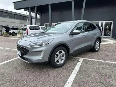 Used FORD KUGA Diesel 2020 Ad 