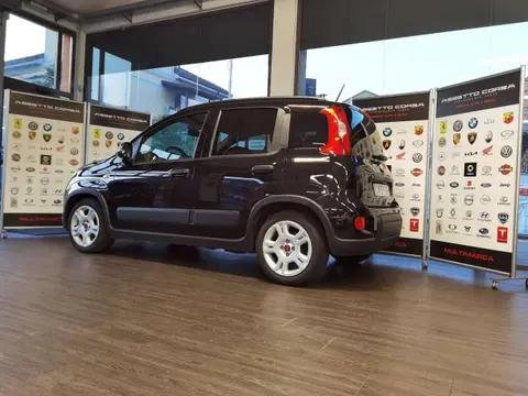 Used FIAT PANDA Hybrid 2023 Ad 