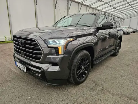 Used TOYOTA SEQUOIA Hybrid 2024 Ad 