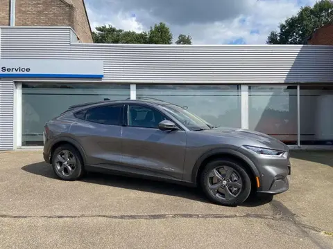 Used FORD MUSTANG Electric 2021 Ad 