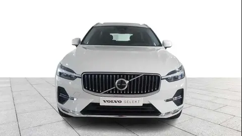 Annonce VOLVO XC60 Essence 2022 d'occasion Belgique