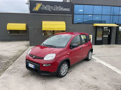 Used FIAT PANDA Hybrid 2024 Ad 