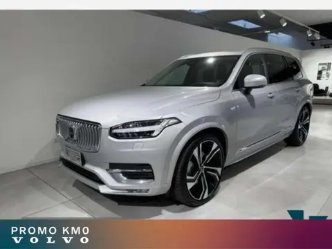 Annonce VOLVO XC90 Diesel 2024 d'occasion 