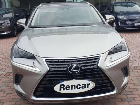 Used LEXUS NX Hybrid 2018 Ad 