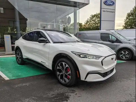 Annonce FORD MUSTANG Électrique 2024 d'occasion Belgique