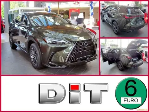 Used LEXUS NX Hybrid 2024 Ad 