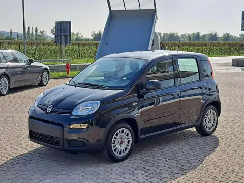 Annonce FIAT PANDA Hybride 2023 d'occasion 