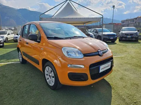 Annonce FIAT PANDA Essence 2019 d'occasion 