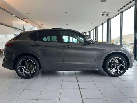 Used ALFA ROMEO STELVIO Diesel 2020 Ad 