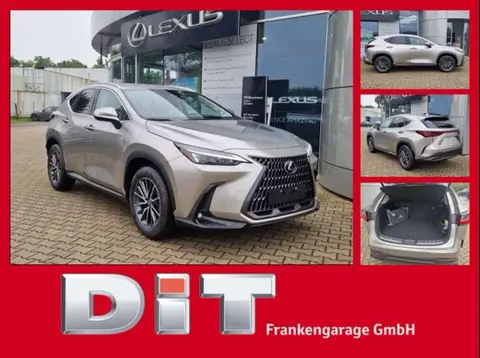 Used LEXUS NX Hybrid 2024 Ad 