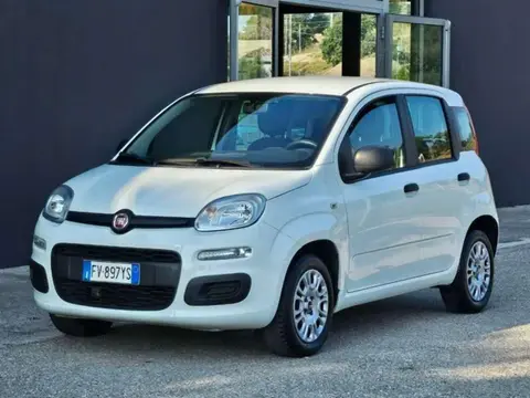 Used FIAT PANDA Petrol 2019 Ad 