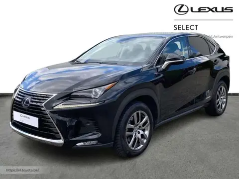 Used LEXUS NX Hybrid 2021 Ad 