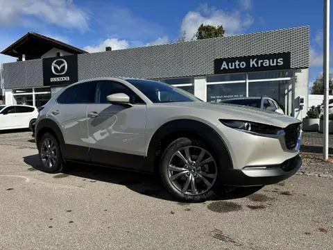 Annonce MAZDA CX-30 Hybride 2024 d'occasion 