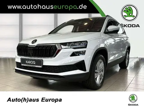 Annonce SKODA KAROQ Diesel 2024 d'occasion 