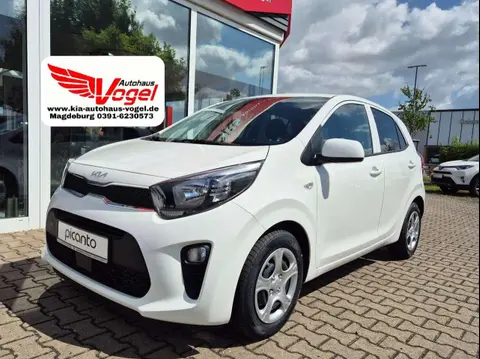 Used KIA PICANTO Petrol 2024 Ad 